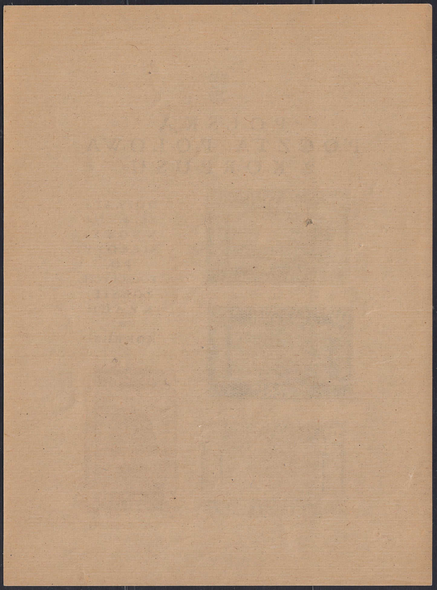CP224- 1946 - Corpo Polacco, vittorie polacche in Italia, francobolli n. 1A, 2A, 3A e 13Aa stampati in foglietto di mm. 120 x 162 nuovo gomma integra (1).