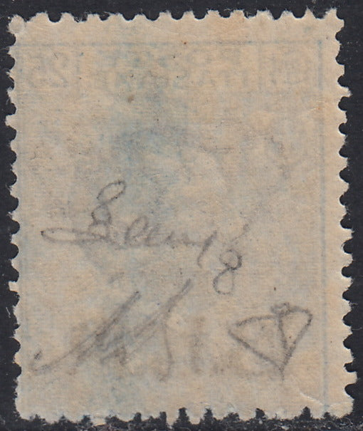 RN121 - 1922/23 - Michetti c. 25 azzurro soprastampa BLP nera del II tipo litografico nuovo con gomma originale (8).