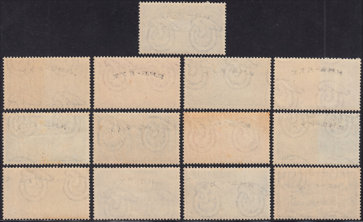 BM20_752 - Risorgimento soprastampato AMG - FTT serie completa di 13 valori nuova con gomma integra. (1/12+E5).