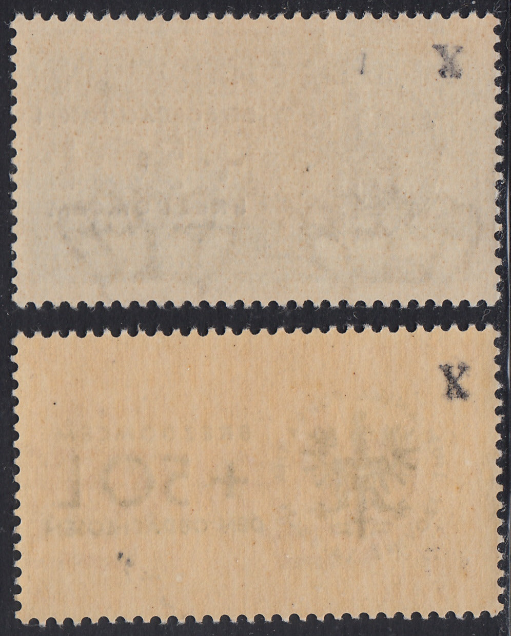 LubT14 - German Occupation of Ljubljana, For the Homeless series of 2 values new complete (32/33)