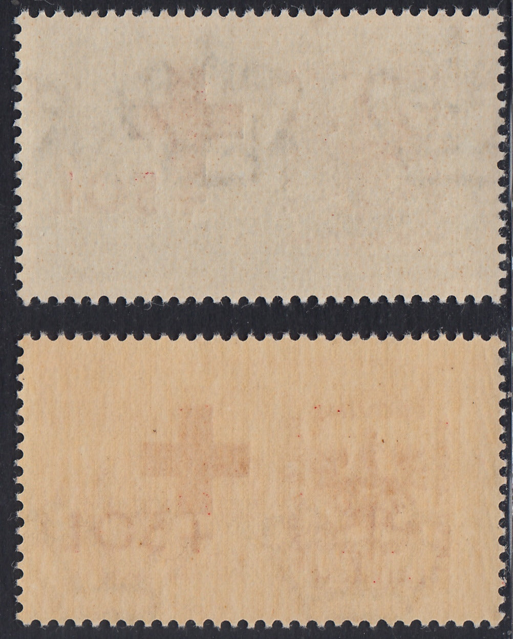 LubT9 - Occupazione Tedesca della Lubiana, Pro Croce Rossa serie di 2 valori nuova integra (34/35)