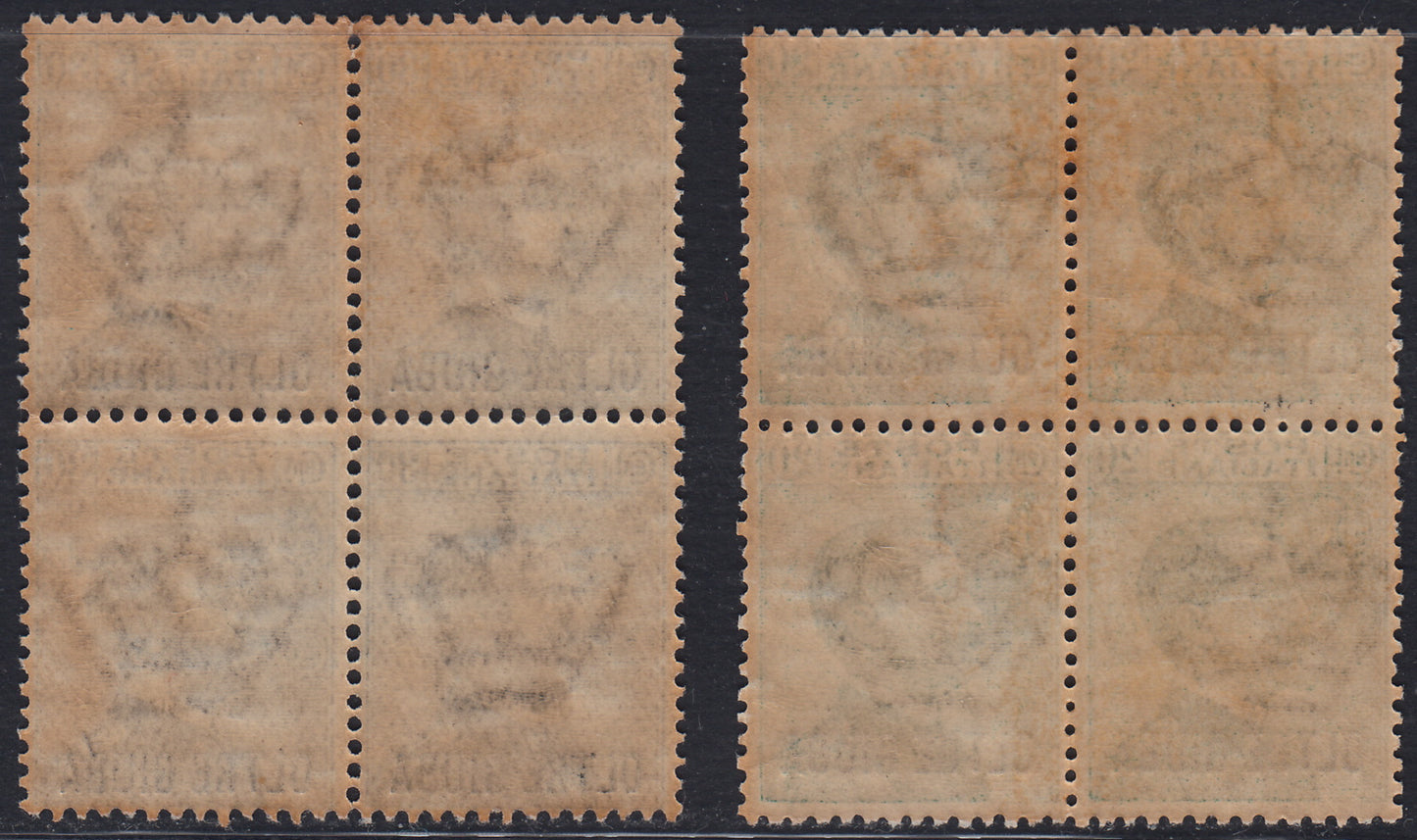 OG14- 1925 - Oltre Giuba ordinary series, 2 stamps with overprint in stick character "OLTRE GIUBA" in new blocks of uncut rubber (16/17)