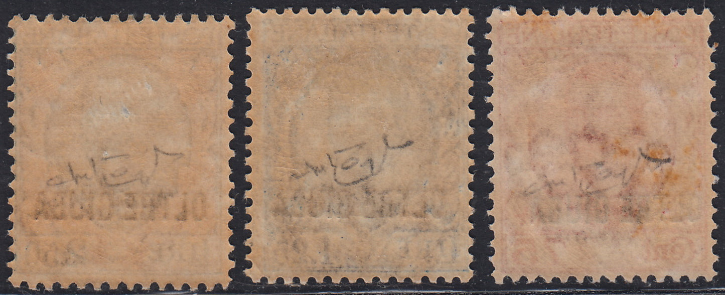 OG7 - 1926 - Oltre Giuba Florale, series of three values, new original rubber (42/44)