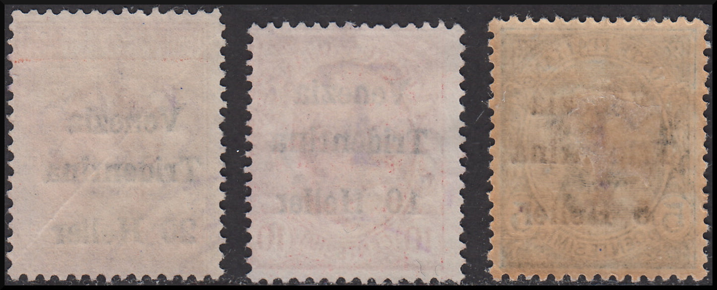 PPP592 - 1918 - Trentino Alto Adige, ufficio di Bolzano 1, segnatasse provvisori soprastampati Venezia Tridentina e T (BZ1/5-BZ1/7)