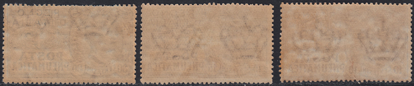 RN321 - 1913/23 - Posta Pneumatica, new set of three values with intact rubber (S1900, 1/3)