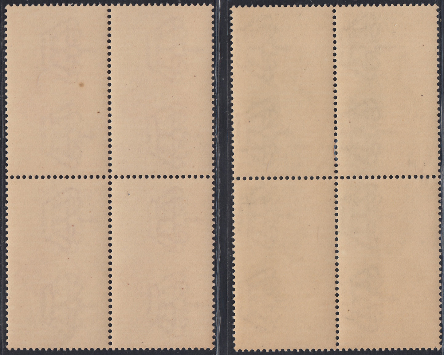 RN342 - 1934 - Congresso di Elettro_Biologia, serie completa di due valori nuova con gomma integra in quartine (364/5)