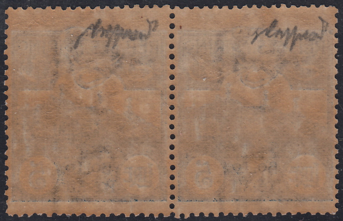 SM49 - 1903 - 5 lire ardesia coppia orizzontale nuova con gomma integra (45)