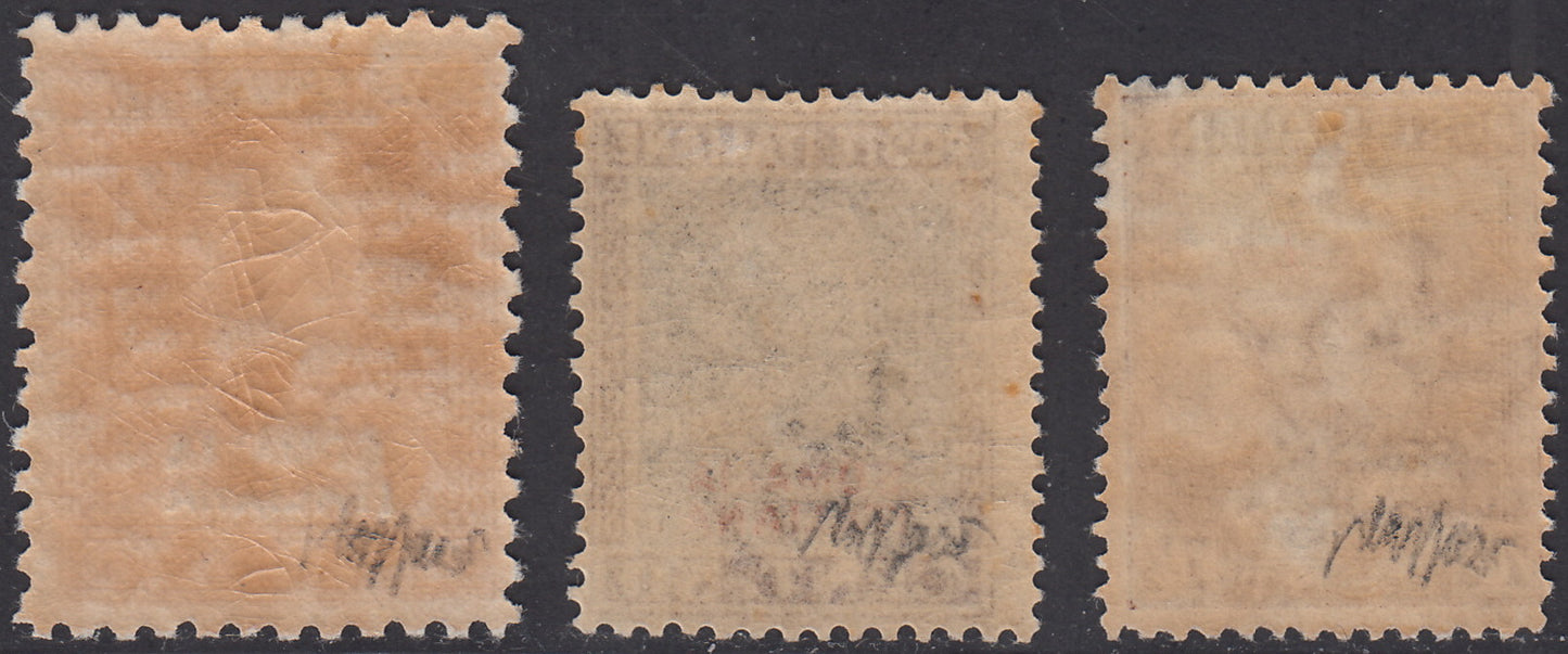 SOM20 - 1928 - Parmeggiani type stamps overprinted SOMALIA ITALIANA, series of three new values with original gmma (116/118)