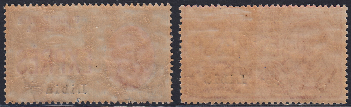 T176 - 1915 - Libia Espresso, serie di due valori nuovi con gomma integra (1/2)
