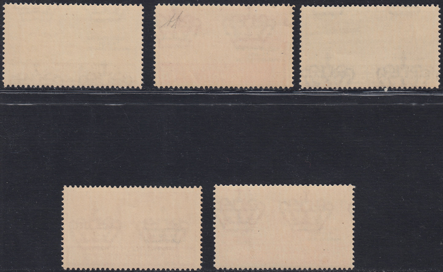 Trip34 - 1924 - Posta Aerea, VIII fiera di Tripoli soprastampata "Circuito delle Oasi", serietta di cinque valori nuova gomma integra (34/36 + 39/40)