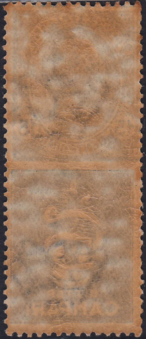 Kingdom of Italy, advertising issues, c. 25 light blue and brown "Piperno" new with intact rubber (6)