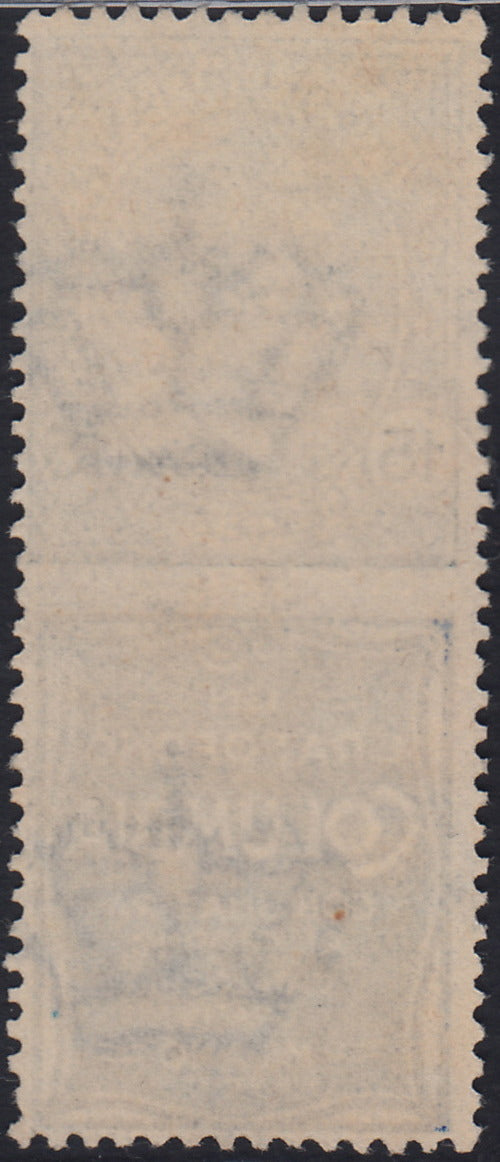 Kingdom of Italy, advertising issues, c. 25 light blue and brown "Piperno" new with intact rubber (6)