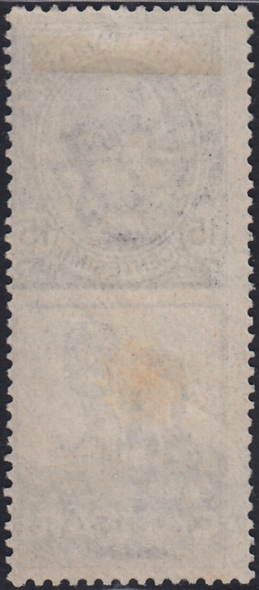 Kingdom of Italy, advertising issues, c. 25 light blue and brown "Piperno" new with intact rubber (6)
