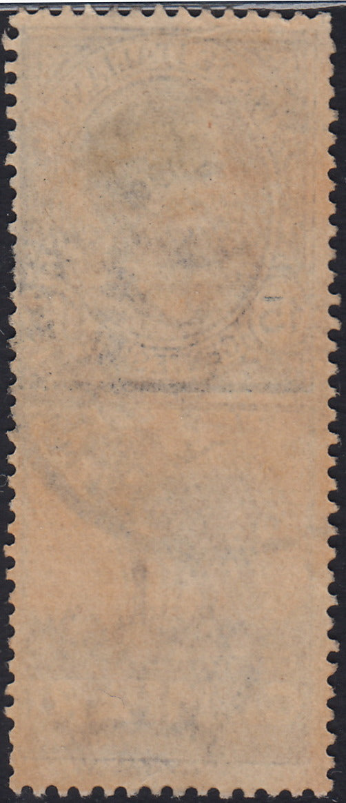 Kingdom of Italy, advertising issues, c. 25 light blue and brown "Piperno" new with intact rubber (6)