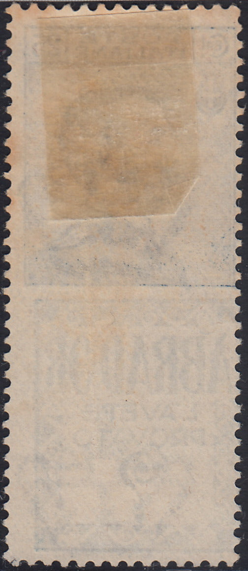 Kingdom of Italy, advertising issues, c. 25 light blue and brown "Piperno" new with intact rubber (6)