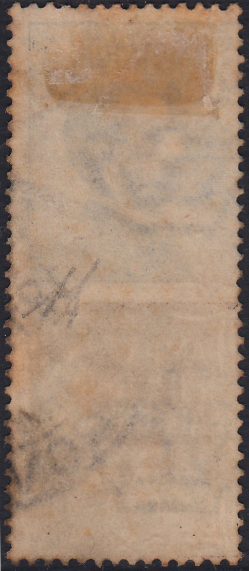 Kingdom of Italy, advertising issues, c. 25 light blue and brown "Piperno" new with intact rubber (6)