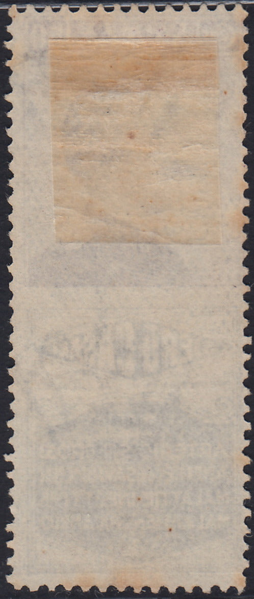 Kingdom of Italy, advertising issues, c. 25 light blue and brown "Piperno" new with intact rubber (6)