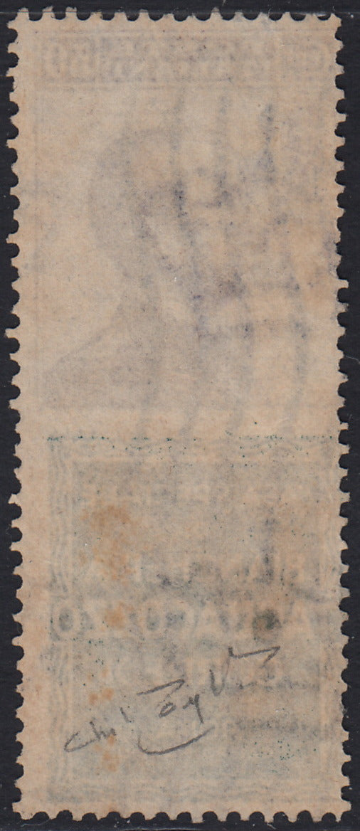 Kingdom of Italy, advertising issues, c. 25 light blue and brown "Piperno" new with intact rubber (6)
