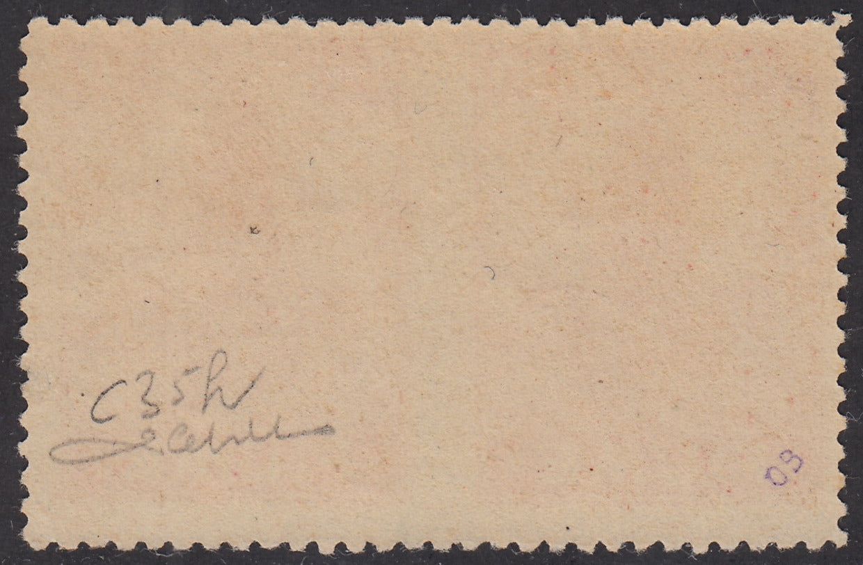 V19 - 1919 - Allegorie, carta tipo "C" c. 10 carminio coppia orizzontale non dentellata al centro nuova (C35h)