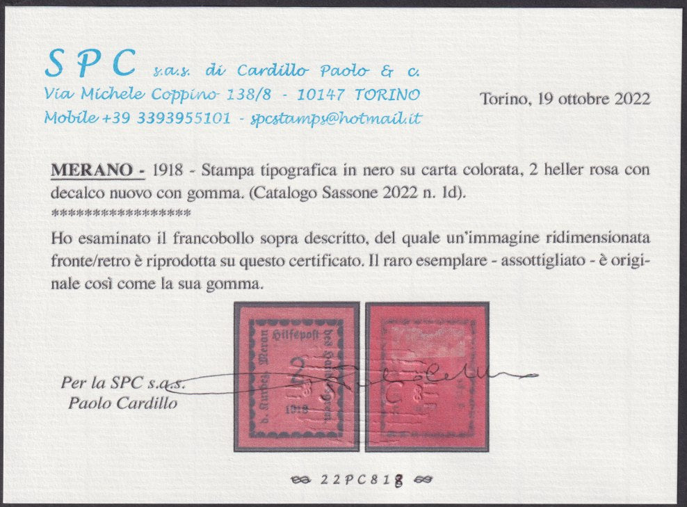 MER6 - 1918 - I emissione, 2 heller rosa esemplare con decalco, nuovo con gomma (1d).