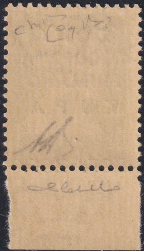 PP803 - 1941 - Imperial c. 10 brown overprinted "ZONA / OCCUPIED / FIUMANO / KUPA" new undamaged rubber (16)