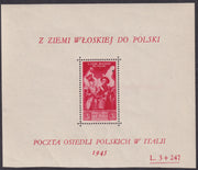 F0-217 - 1946 - Polish Corps, War Relief stamp no. 28 in different colour, L. 3 + 247 red in sheet of mm. 120 x 120 new intact rubber (3A).