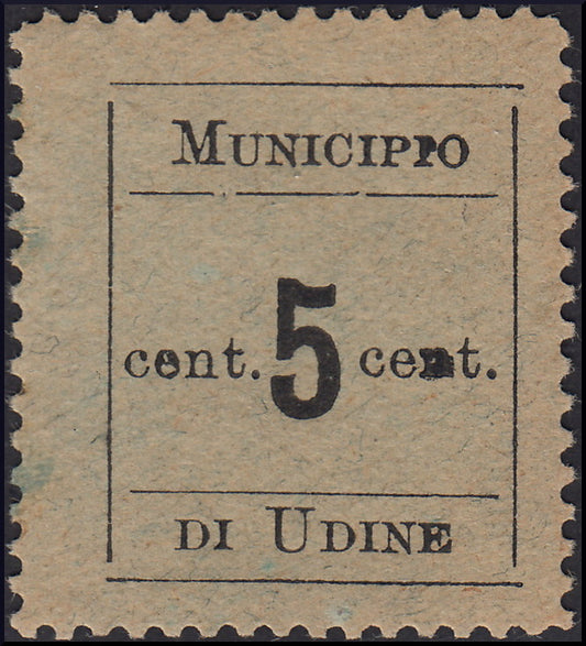 1918 - Town Hall of Udine, 5 cents black on blue-green paper perforated on all four sides, new with gum (1st)