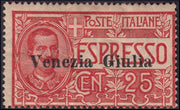 AO15 - 1919 - Espresso d'Italia soprastampato "VENEZIA GIULIA" nuovo con gomma integra (1)