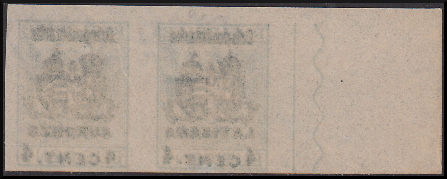 1918 - Austrian occupation of Friuli and Veneto, Authorized Delivery stamps c.4 on c.2 green horizontal pair with different locations (8, 24) 