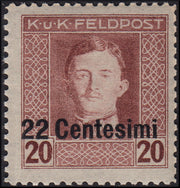 A07 - 1918 -  Occupazione Austriaca del Friuli e del Veneto, francobolli di Austria soprastampati, c.22 su 20 bruno dentellatura 11 1/2 invece che 12 1/2, nuovo con gomma integra (9aa)