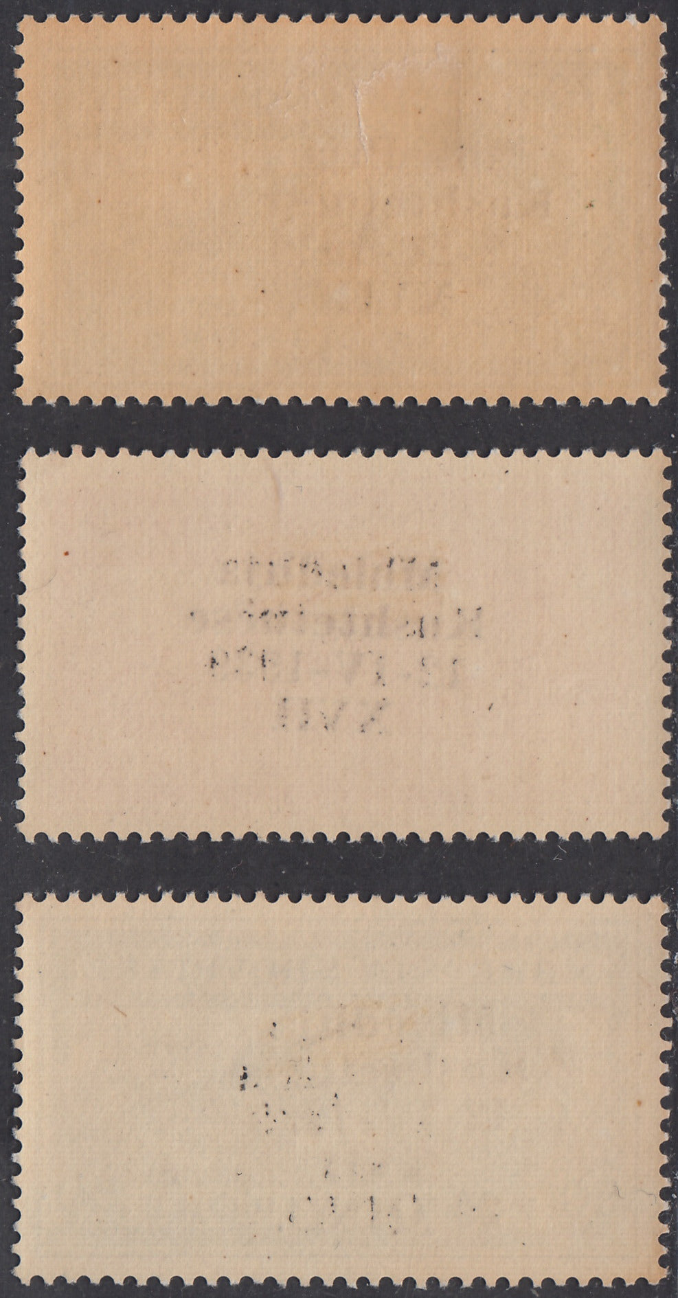 Alb30 - 1939 -  Assemblea Costituente, francobolli di Posta Aerea albanesi soprastampati, serie completa di tre valori nuova con gomma originale (A1/3)