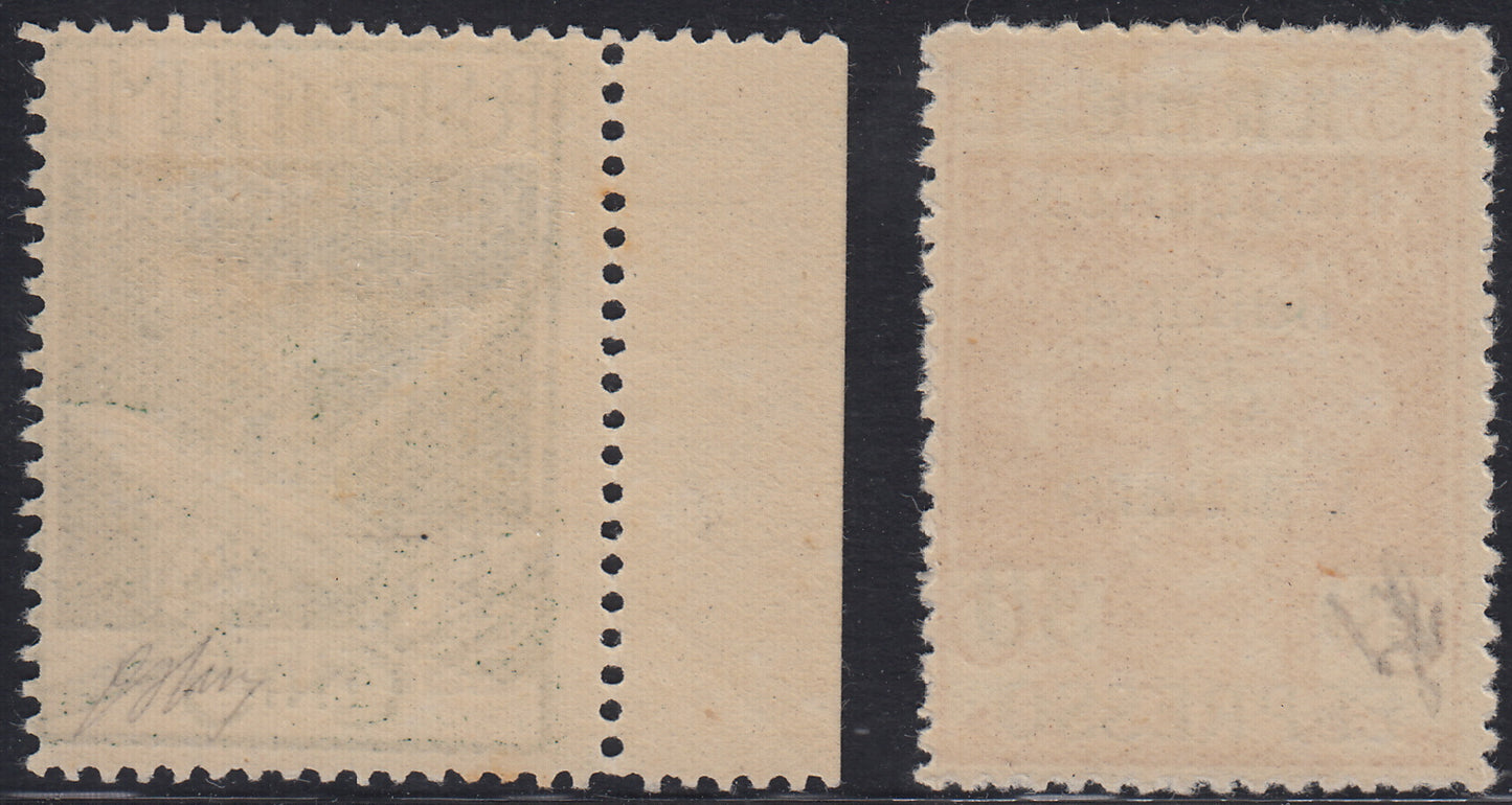 Arbe11 - 1920 - Legionari di Fiume soprastampati ARBE, Espressi due valori nuovi con gomma originale (1, 2)