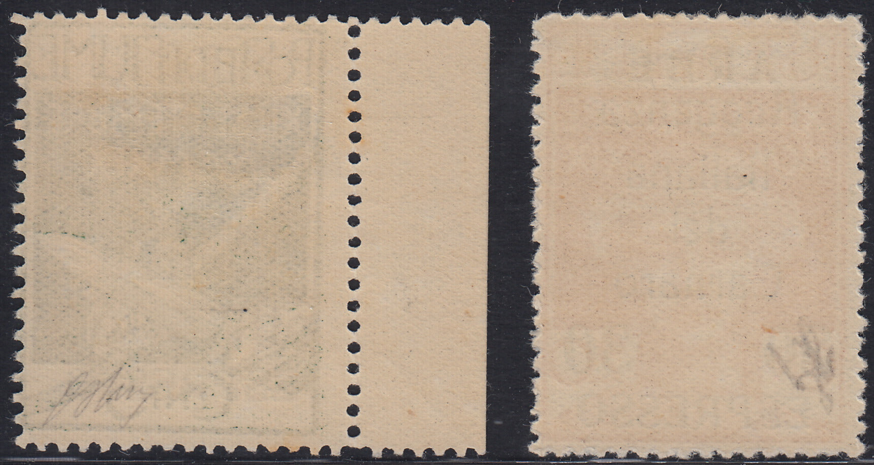 Arbe11 - 1920 - Legionari di Fiume soprastampati ARBE, Espressi due valori nuovi con gomma originale (1, 2)