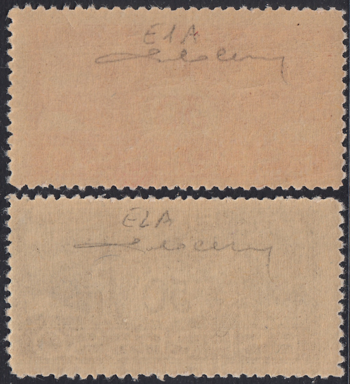 BA26_112 - 1920 - Cavalieri, espressi della serie "Effigie di d'Annunzio" in colori invertiti, c. 30 rosa carminio e c. 50 azzurro nuovi gomma integra (E1A, E2A)