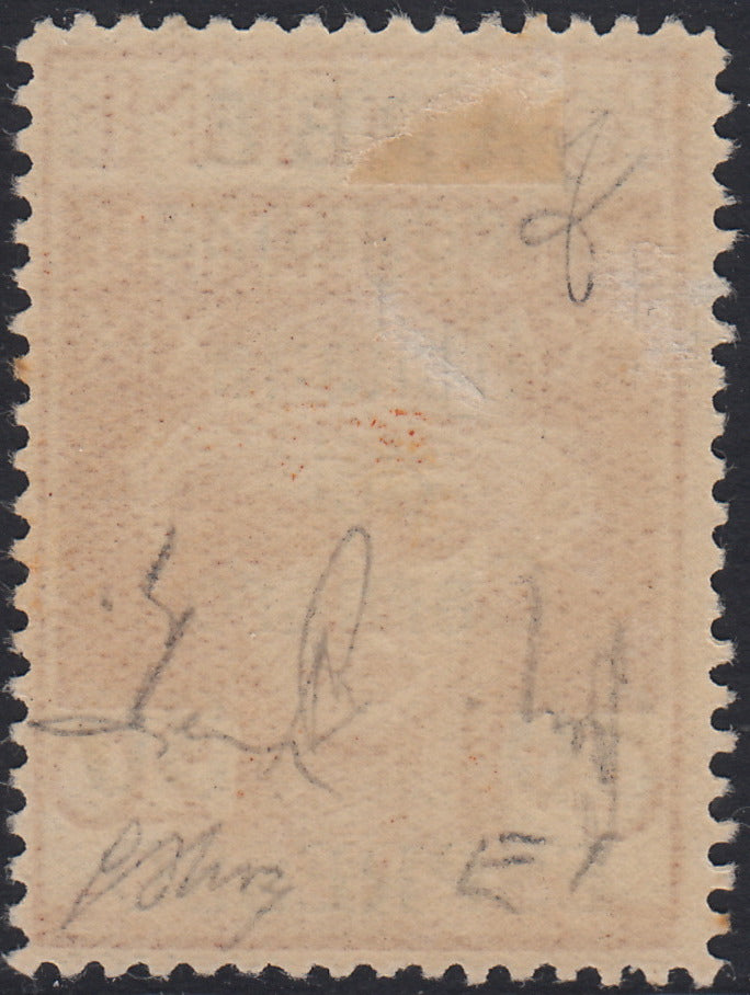 BA26_116 - 1920 - Legionari di Fiume soprastampati "Reggenza Italiana del Carnaro" e ARBE, ESPRESSO c. 30 su c. 20 ocra nuovo con gomma originale (1)