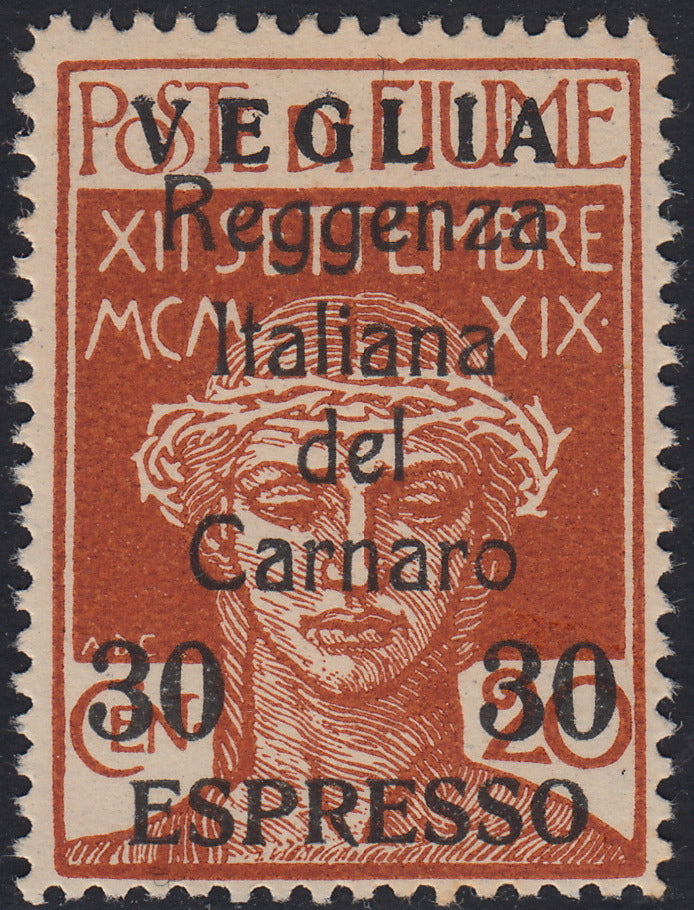 BA26_117 - 1920 - Legionari di Fiume soprastampati "Reggenza Italiana del Carnaro" e VEGLIA, Espresso c. 30 su c. 20 ocra nuovo gomma originale (1)