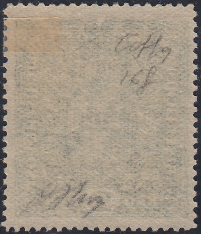 BA26_131 - 1918 - Francobolli d'Austria soprastampati "Regno d'Italia / Trentino / 8 nov. 1918", 2 korone azzurro con varietà "senza punto dopo NOV" nuovo con gomma originale (16f)