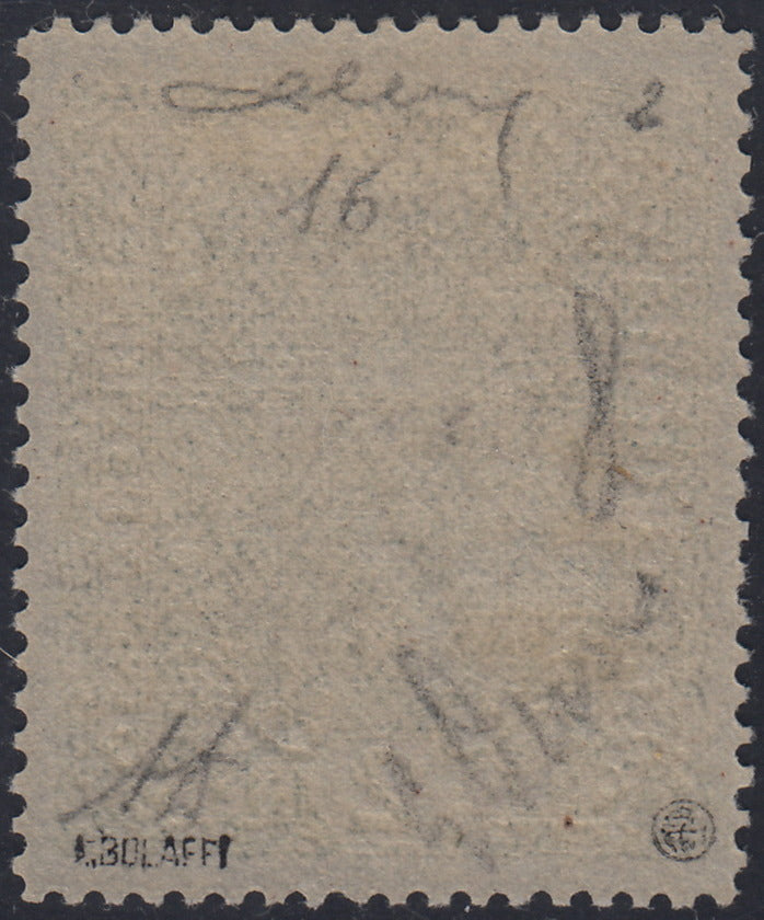 BA26_132 - 1918 - Francobolli d'Austria soprastampati "Regno d'Italia / Trentino / 8 nov. 1918", 2 korone azzurro nuovo con gomma integra (16)