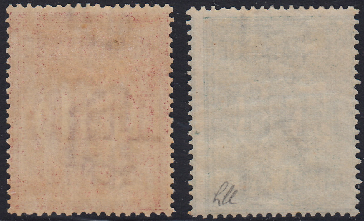 BA26_204 - 1884 - Segnatasse, cifra su carta bianca, L. 50 verde + L. 100 rosa carminio nuove con gomma integra (15, 16)