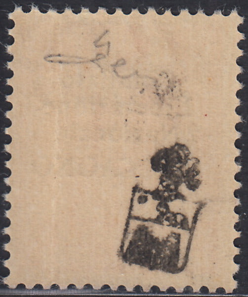 BA26_89 - 1945 - Maccagno, c. 75 rosa carminio con soprastampa nera "Comitato Liberazione Nazionale MACCAGNO" nuovo con gomma originale (4)