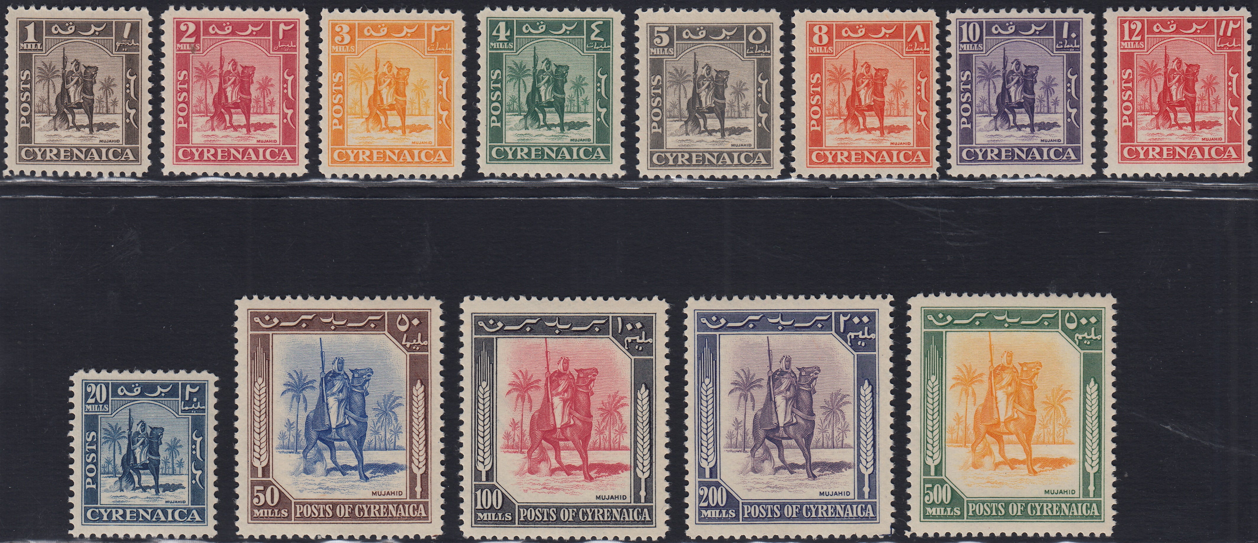 BO24_46 - 1950 - Cavaliere Senussita, serie completa di 13 valori nuova con gomma integra (1/13)