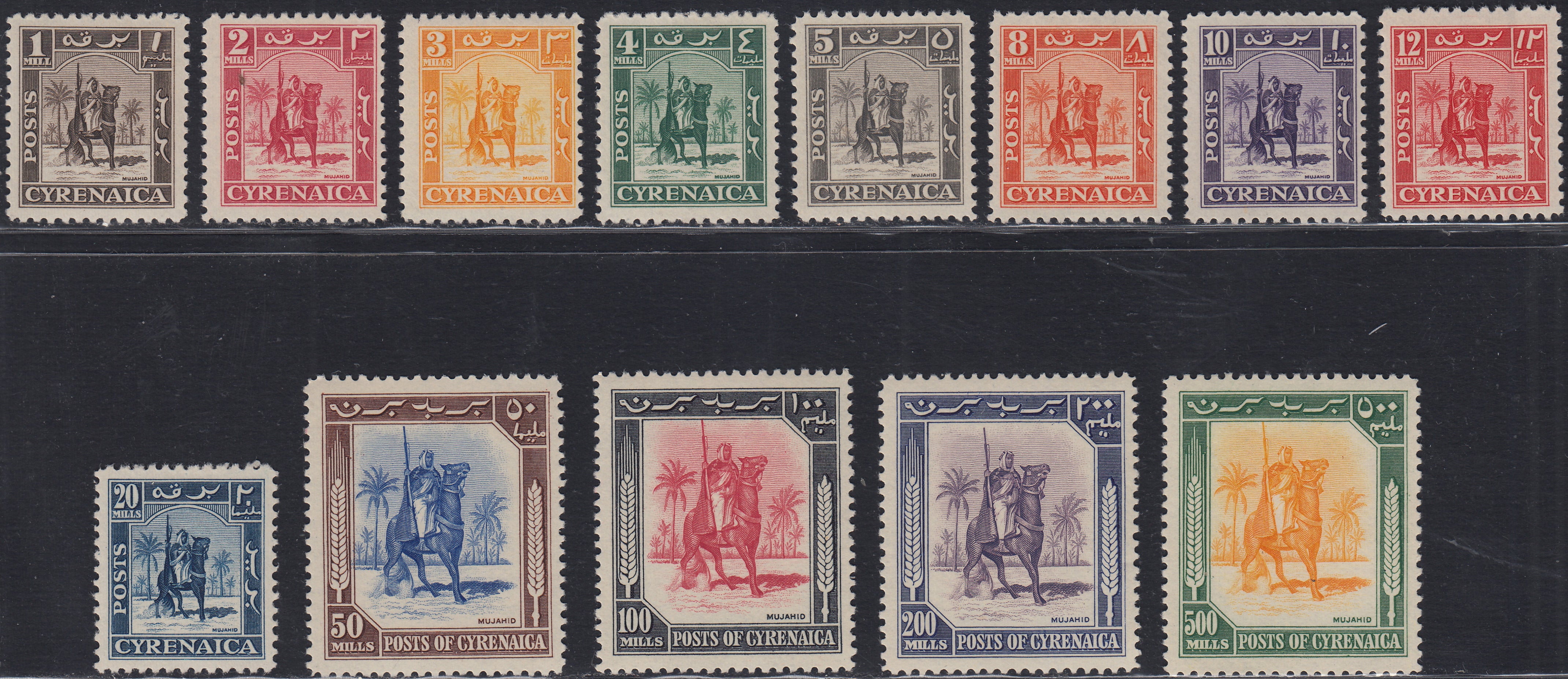 BO24_48 - 1950 - Cavaliere Senussita, serie completa di 13 valori nuova con gomma integra (1/13)