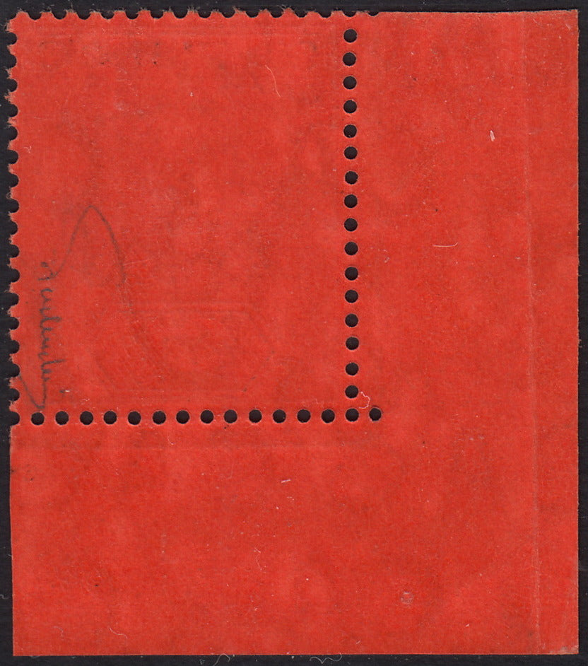 BO25_125 - Colonie Inglesi, Isole FIJI, Edoardo VII 1 sterlina rosso e nero nuovo con gomma integra (SG124)