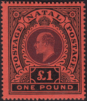 BO25_129 - Colonie Inglesi, NATAL, 1908/9 Edoardo VII - 1 sterlina rosso e nero nuovo con gomma originale (SG n. 171)