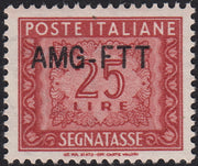 BO25_54 - Trieste Zona A - 1954 - Segnatasse L. 25 bruno rosso soprastampa nuovo tipo AMG-FTT nuovo gomma integra (25A)