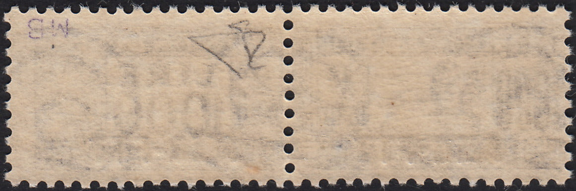 BO25_61 - Trieste Zona A - 1954 - Pacchi Postali L. 1000 oltremare "Cavallino" soprastampa AMG-FTT dentellatura pettine nuovo con gomma (26)