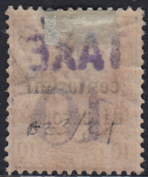BZ31 - 1918/19 - Trentino Alto Adige, ufficio di Bolzano 3, Leoni c. 10 rosa sopratampato in centesimi di corona + TAXE e nuovo valore, usato. (BZ3/81)