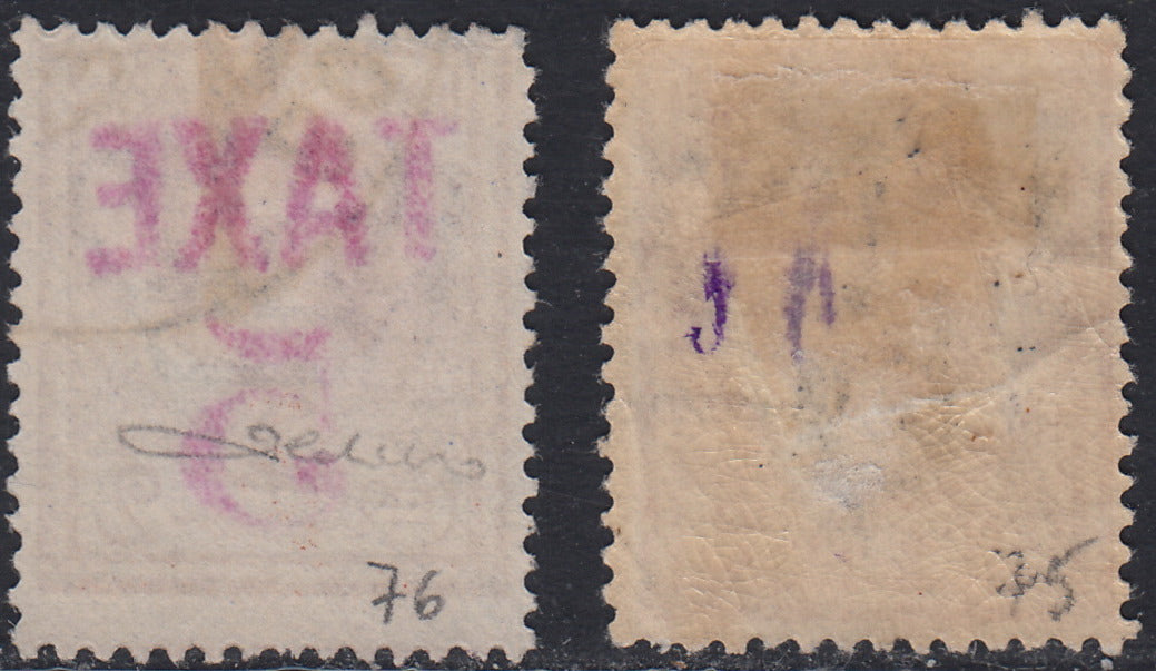 BZ38 - 1918/19 - Trentino Alto Adige, ufficio di Bolzano 3, TAXE 5 su 2c. bruno rosso in nero nuovo e in rosa usato (BZ3/75-76)