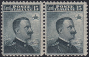 CG180 - 1906 - Regno d'Italia, Michetti c. 15 grigio nero I tipo, coppia orizzontale con decalco nuova gomma integra (80e)
