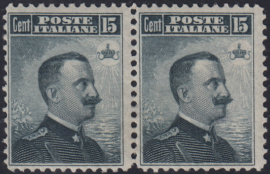 CG180 - 1906 - Regno d'Italia, Michetti c. 15 grigio nero I tipo, coppia orizzontale con decalco nuova gomma integra (80e)